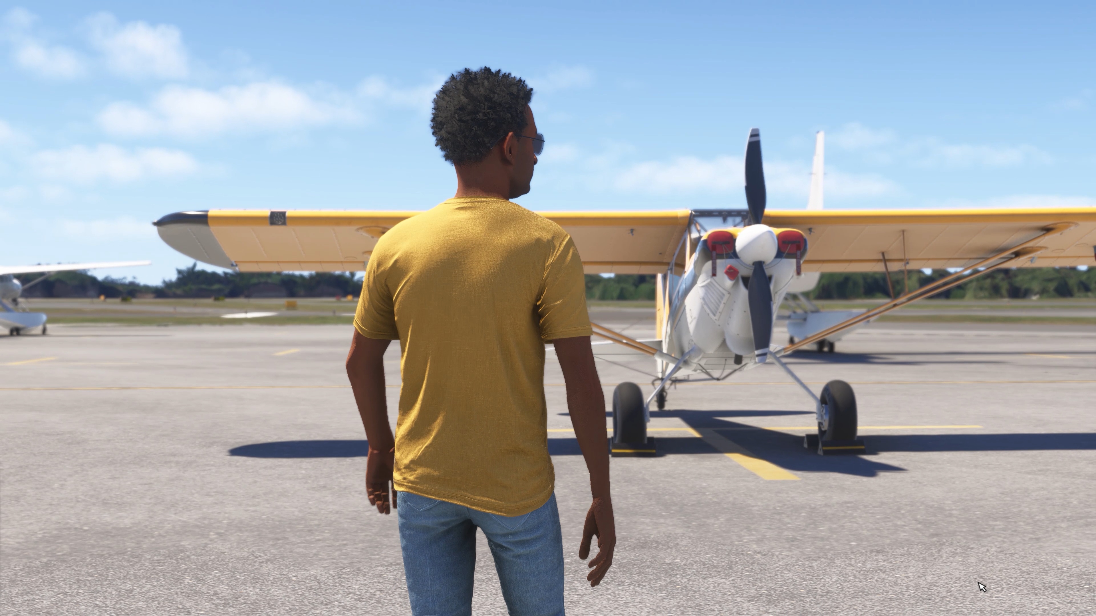 Microsoft Flight Simulator 2024 - Imagen 1